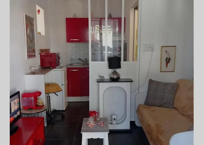 Appartement Cosy A 200 Du Tram B Chambre Separee Petite Veranda Lumineuse Donnant Sur Jardinet
